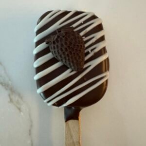 Chocolate Cake Pop